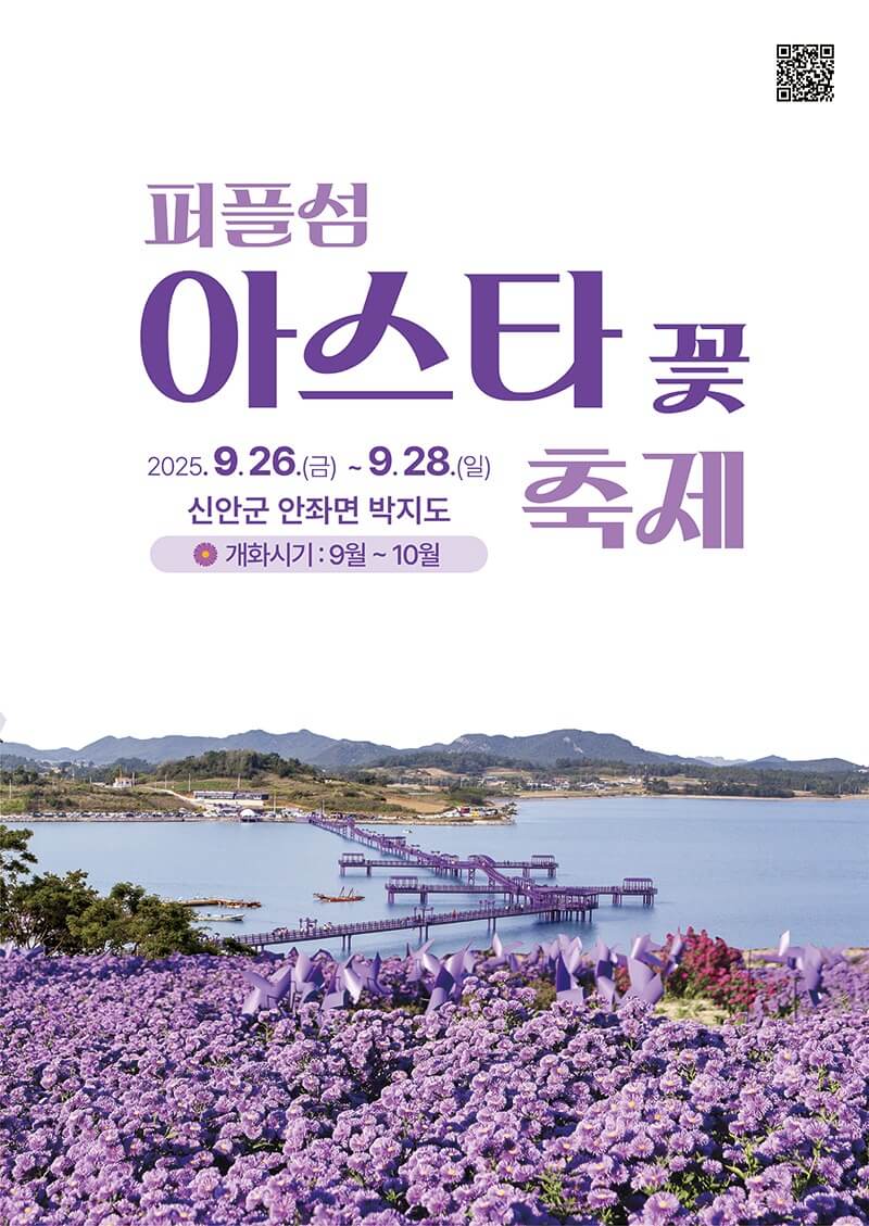 신안 퍼플섬 아스타축제