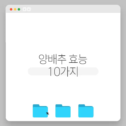 양배추 효능 10가지, 부작용