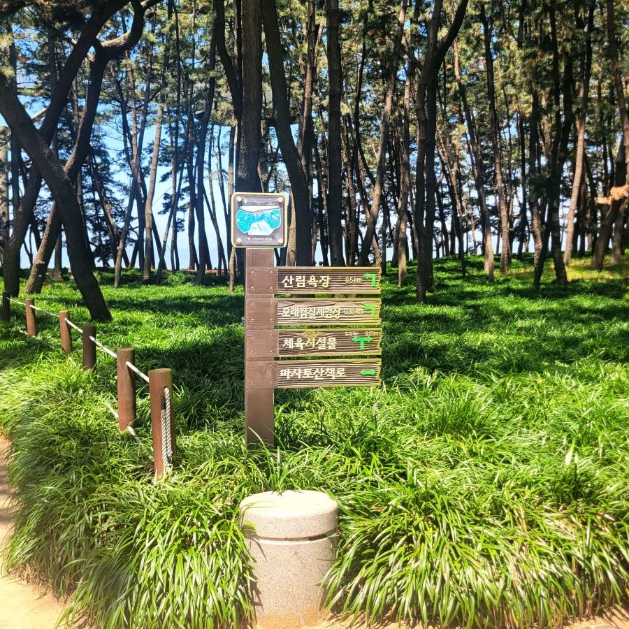 장항스카이워크 전망대