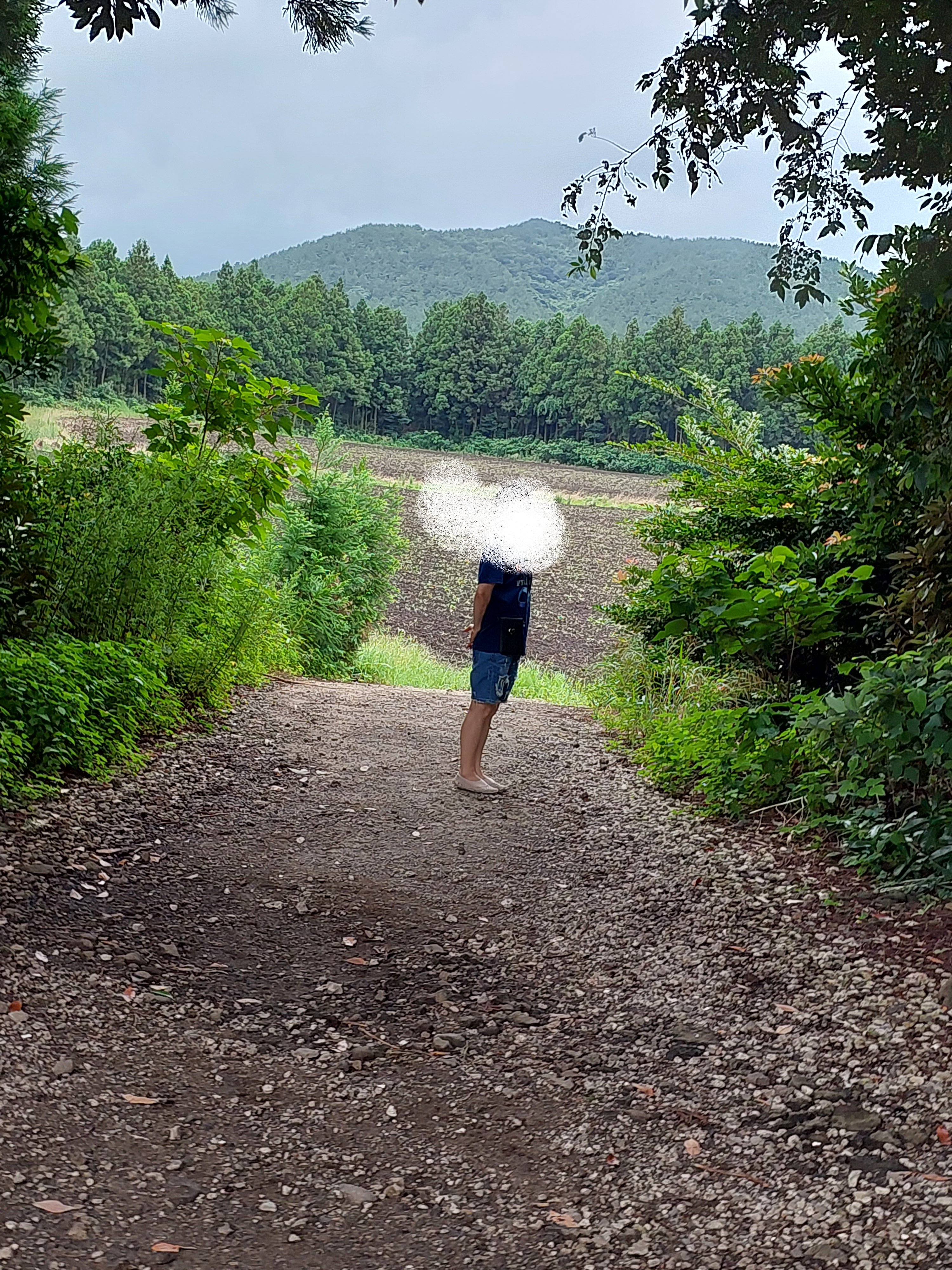 안도르