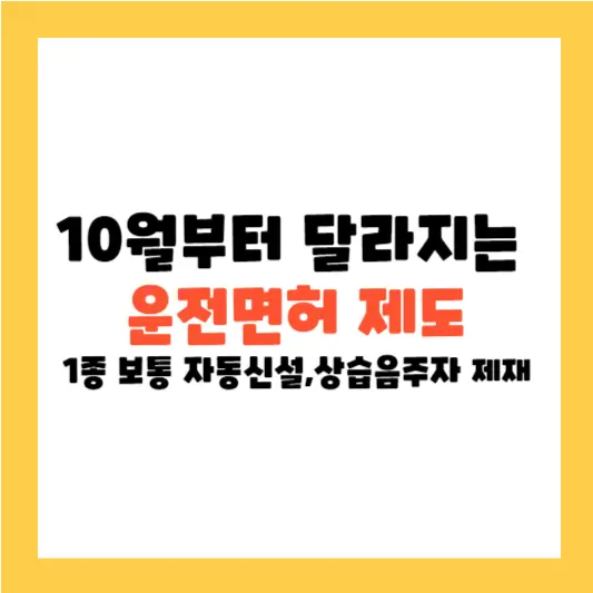 10월부터 달라지는 운전면허 제도 알아보기