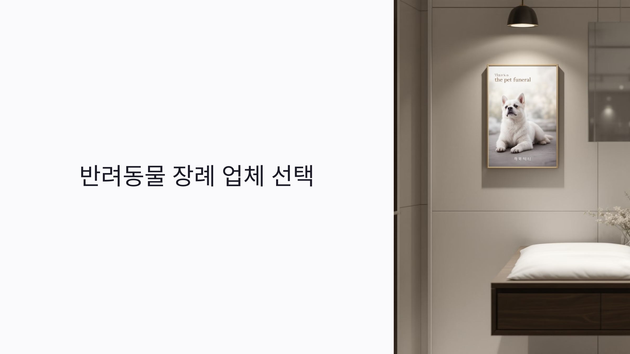 처음이라면 꼭 확인해야 할 펫장례업체 선택 기준 6가지 (비용·후기·계약 포함)