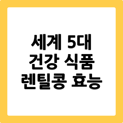렌틸콩 효능