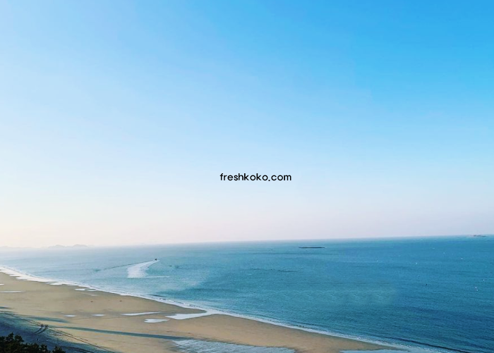 보령 가볼만한곳