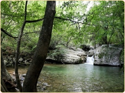 서울근교 계곡 추천