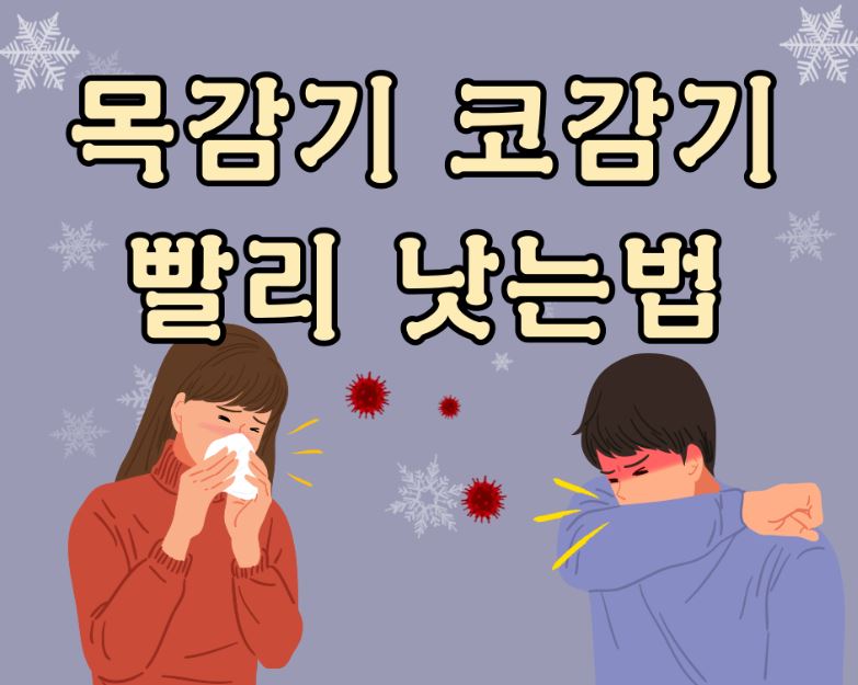 코감기&middot;목감기, 어떻게 빨리 낫나? (감기유형, 증상별 대처, 빠른 회복)