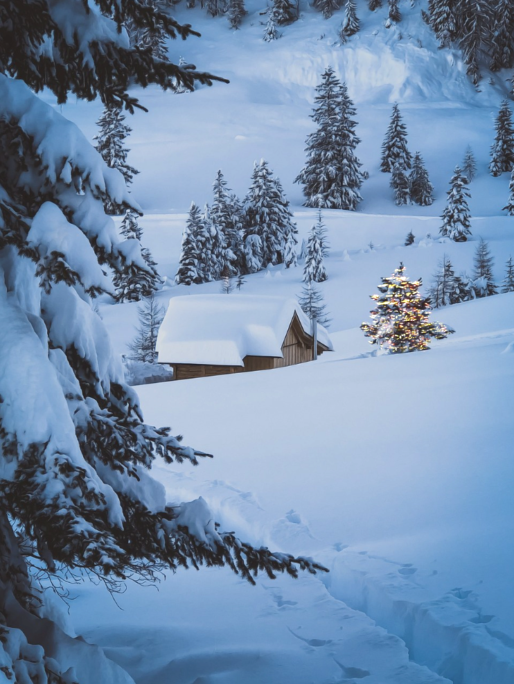 크리스마스와 연말 여행을 빛내줄 캐럴