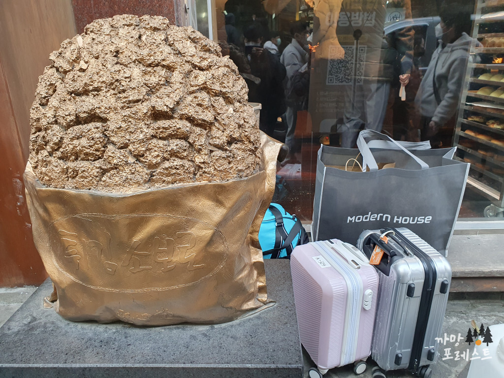 대전 성심당 시그니처