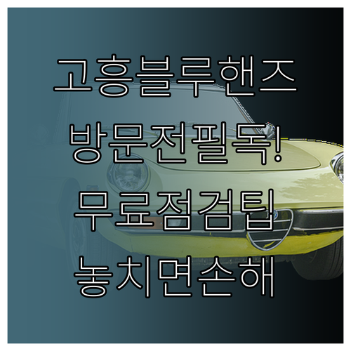 고흥 현대자동차 블루핸즈 방문 전 확..