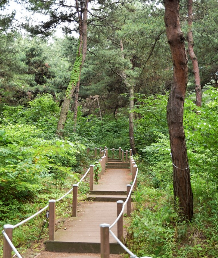 태학산자연휴양림