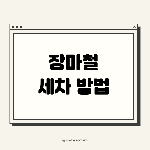 장마철 세차 방법