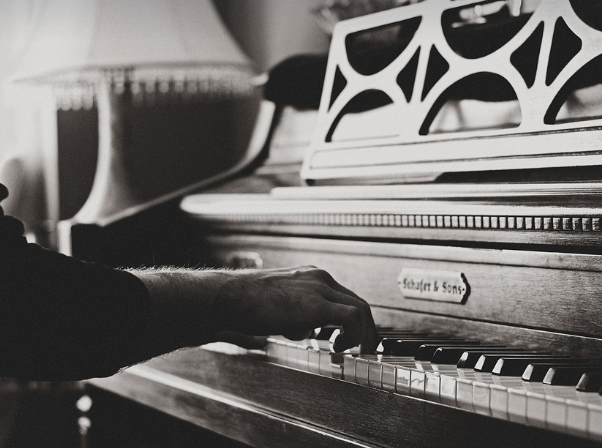 유럽 작곡가와 연주가의 차이점 (역할, 특징, 활동)