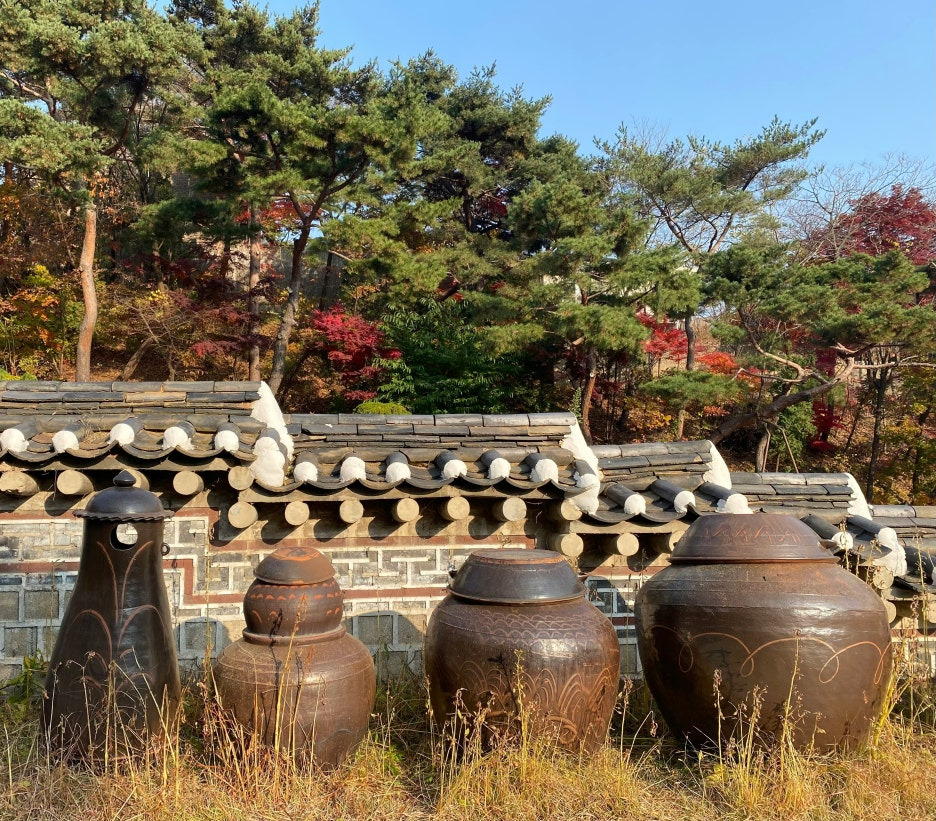 2026년 대박 예감! 행운 꿈 해몽