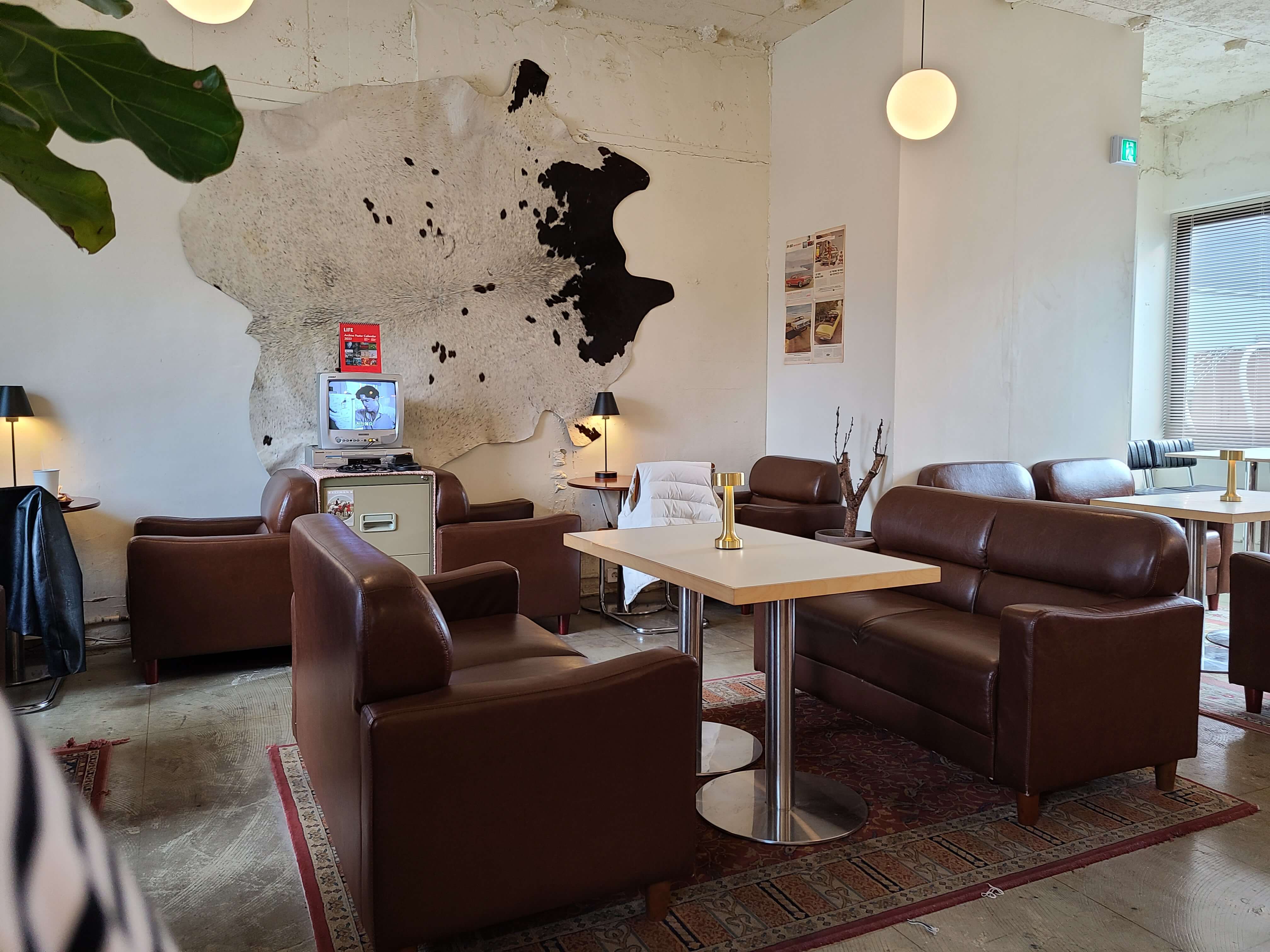  애견동반카페 홍라드 