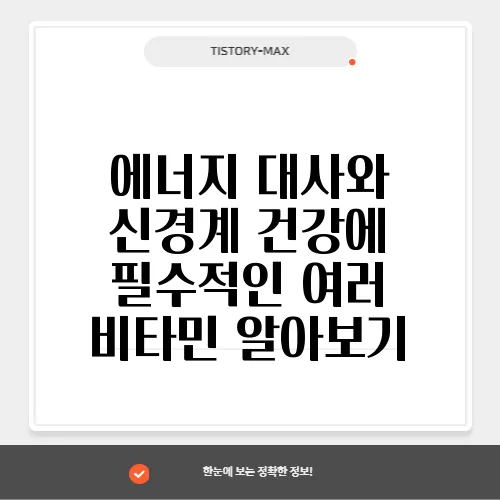 에너지 대사와 신경계 건강에 필수적인 여러 비타민 알아보기