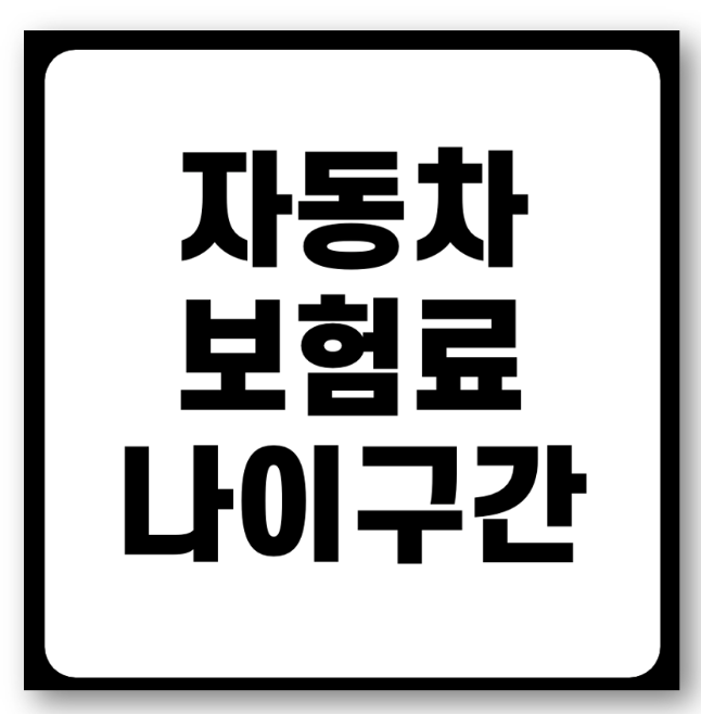 자동차 보험료 나이 구간 바로가기