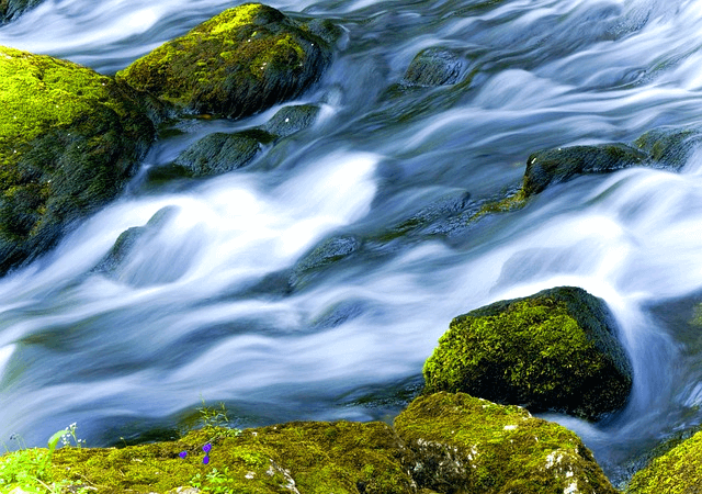 산속 시냇물이 세차게 내려오고 있다. 하얀 물줄기가 내려오고 초록색 이끼가 가득한 바위들이 양옆에 있다.