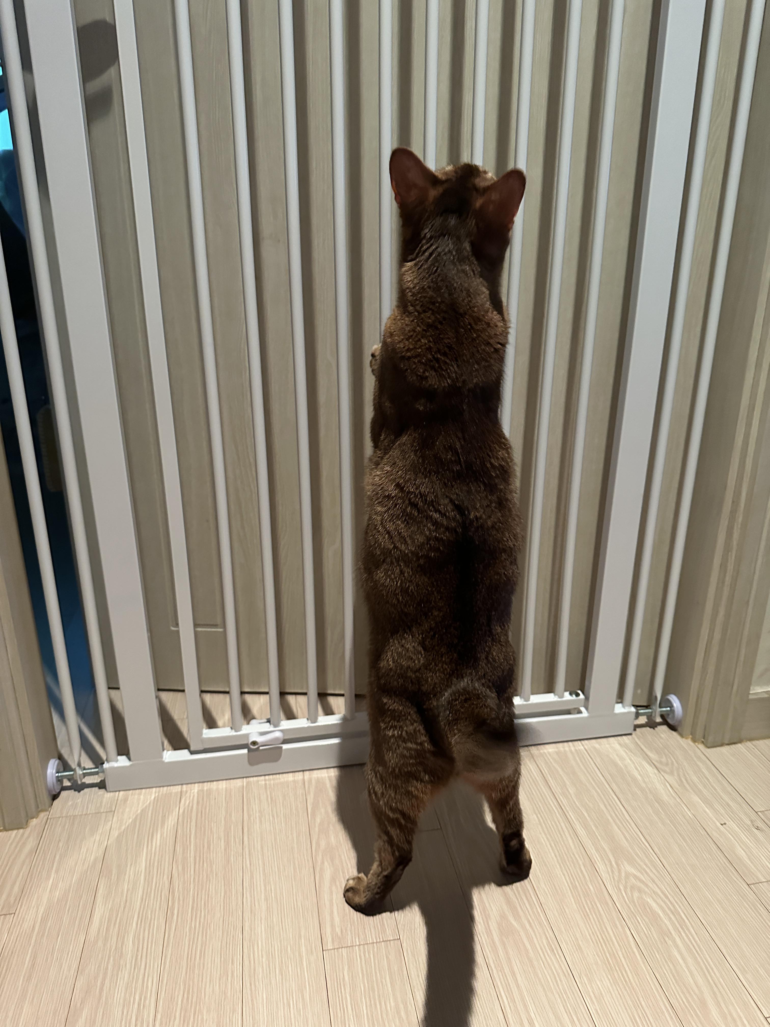 일어서있는_루디