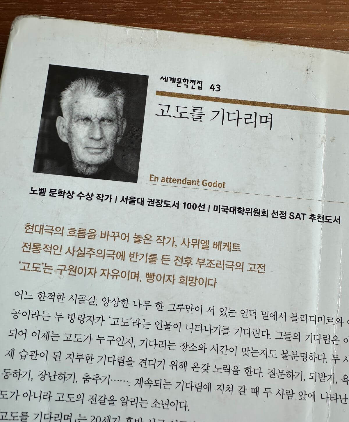 고도를-기다리며-작가-사뮈엘-베케트-책-뒤표지-설명글