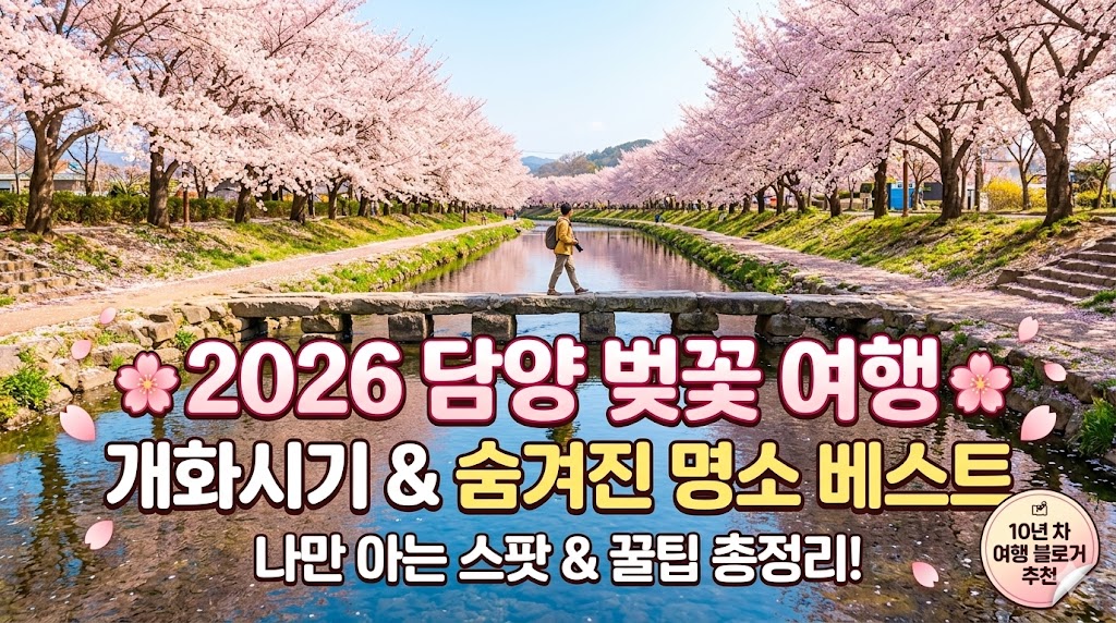 담양 벚꽃 명소