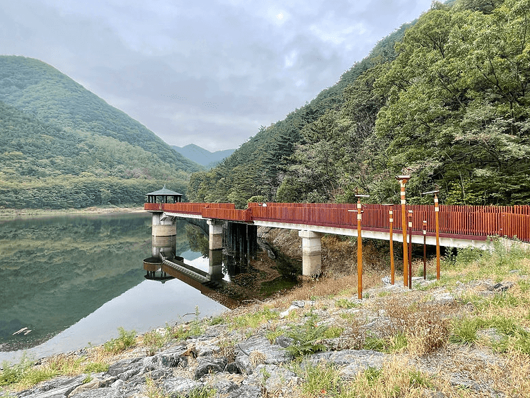 대구 가볼만한 단풍 여행은 어디일까? 대구 단풍 여행 총정리!