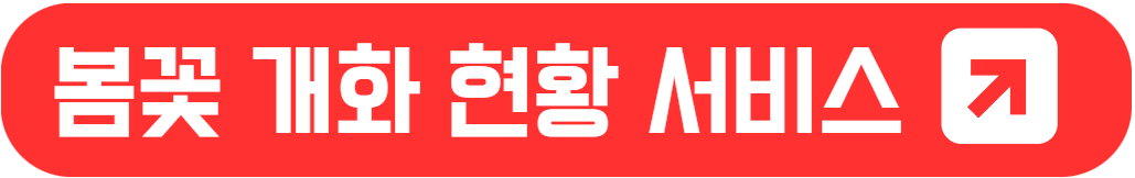 2024년 벚꽃 개화 시기와 벚꽃 놀이 명소 가이드