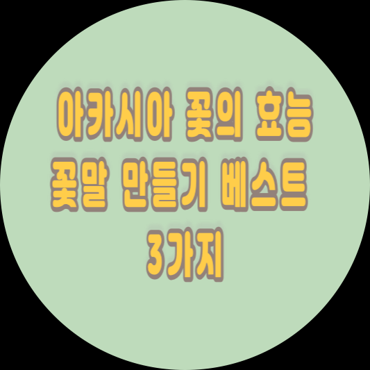 아카시아 꽃의 효능과 꽃말 만들기 베스트 3가지