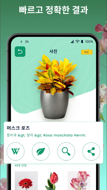 식물 이름찾기, 꽃 검색, 꽃 이름찾기 어플