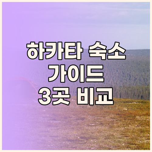 하카타 숙소 완벽 가이드 엔 호텔 v