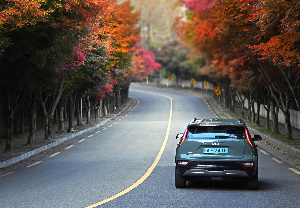 기아(주)회사 개요, 마케팅 및 브랜딩, 미래전망 및 혁신
