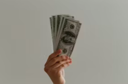 2025년 월급 실수령액 연봉 계산기