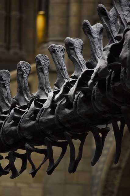 유라시아 초원의 아르카임(Arkaim)