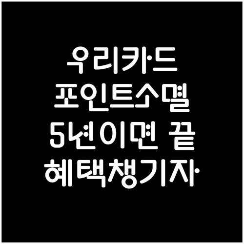 우리카드 포인트 5년이면 사라진다? ..
