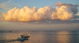 제주도 한달살기 숙소 임대료 숙소 추천 비용
