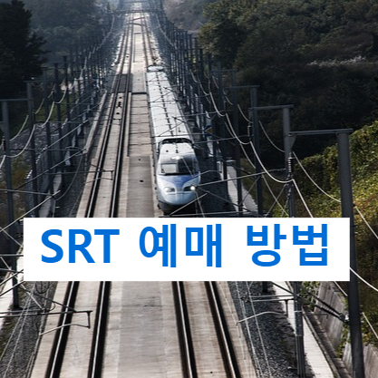 경부선 SRT 노선도 정차역 시간표 요금