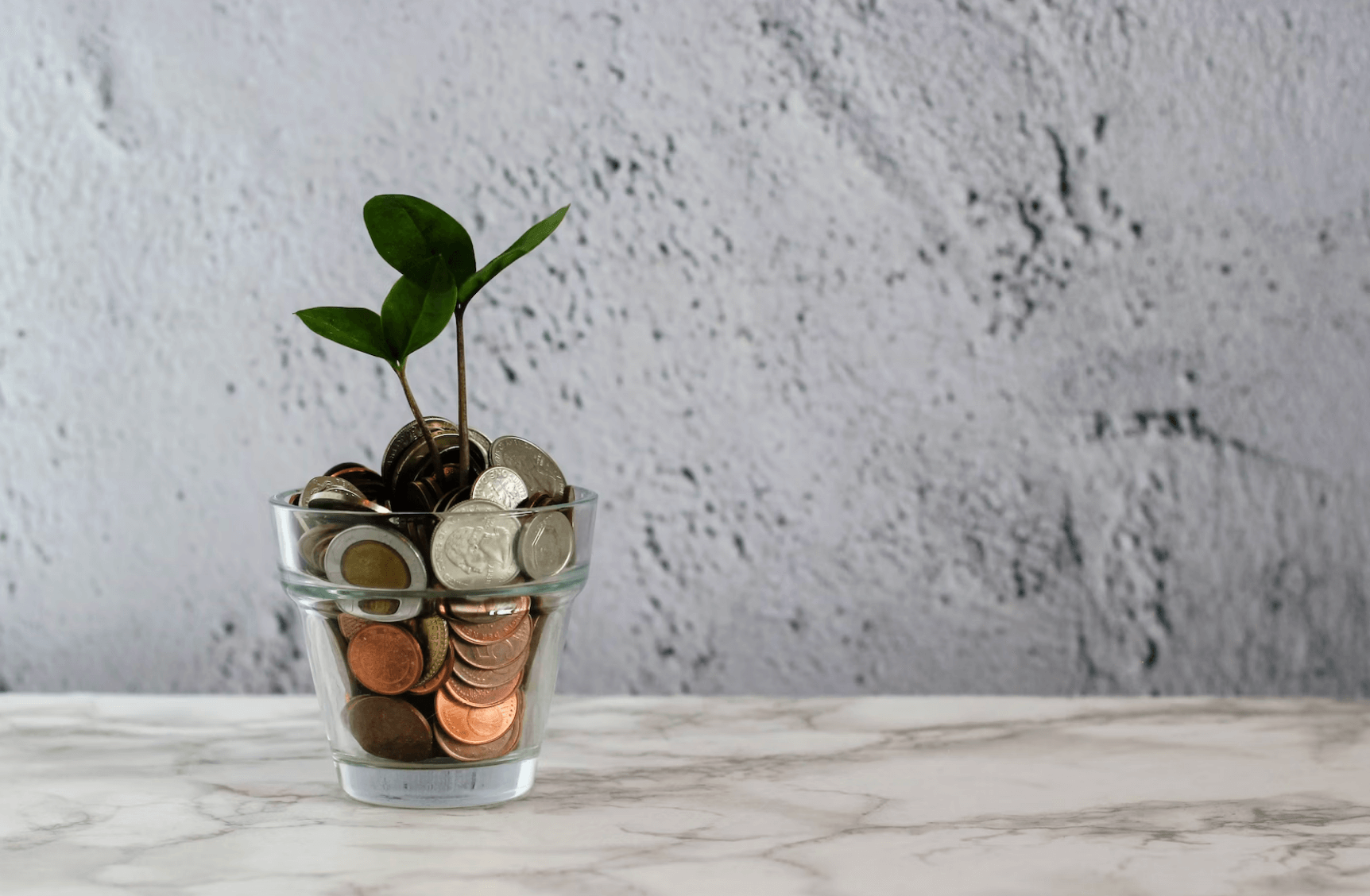 동전이-들어있는-화분