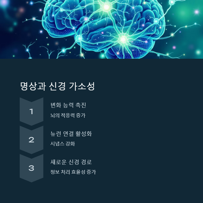 명상이 뇌 건강에 미치는 놀라운 효과 - 신경 가소성 증진 명상이 뇌 건강에 미치는 놀라운 효과 - 신경 가소성 증진