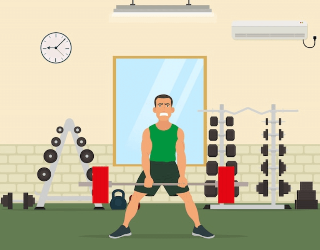 실내 고양이 활동량 늘리는 효과적인 놀이 루틴