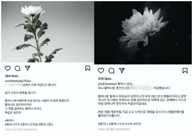 남양유업 재벌3세 '황하나' 프로필