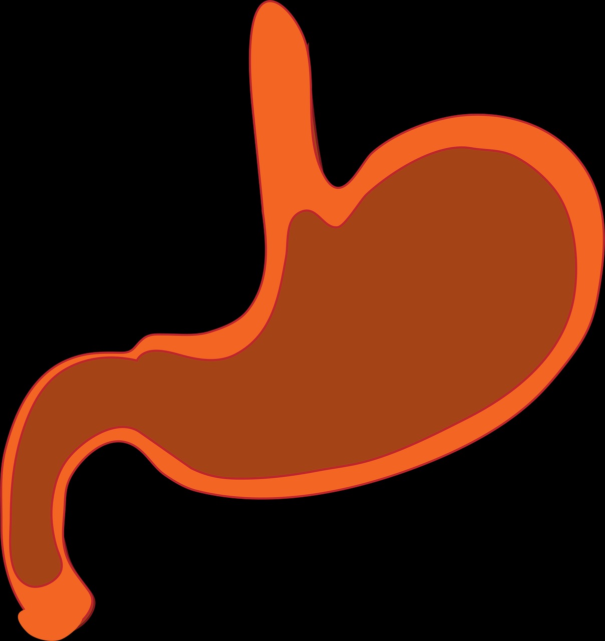 카무트-효소-효능-후기-소화개선-소화불량-기력