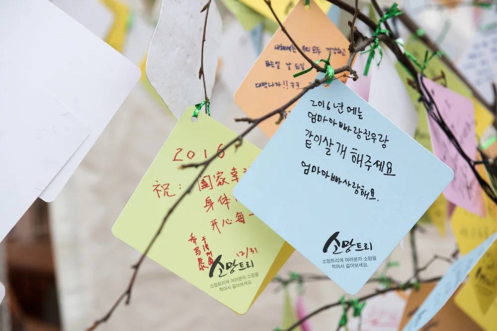 성산일출축제 사진2