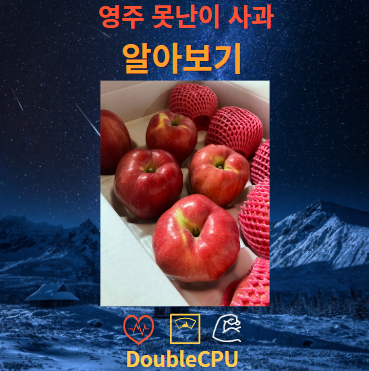 영주 못난이 사과