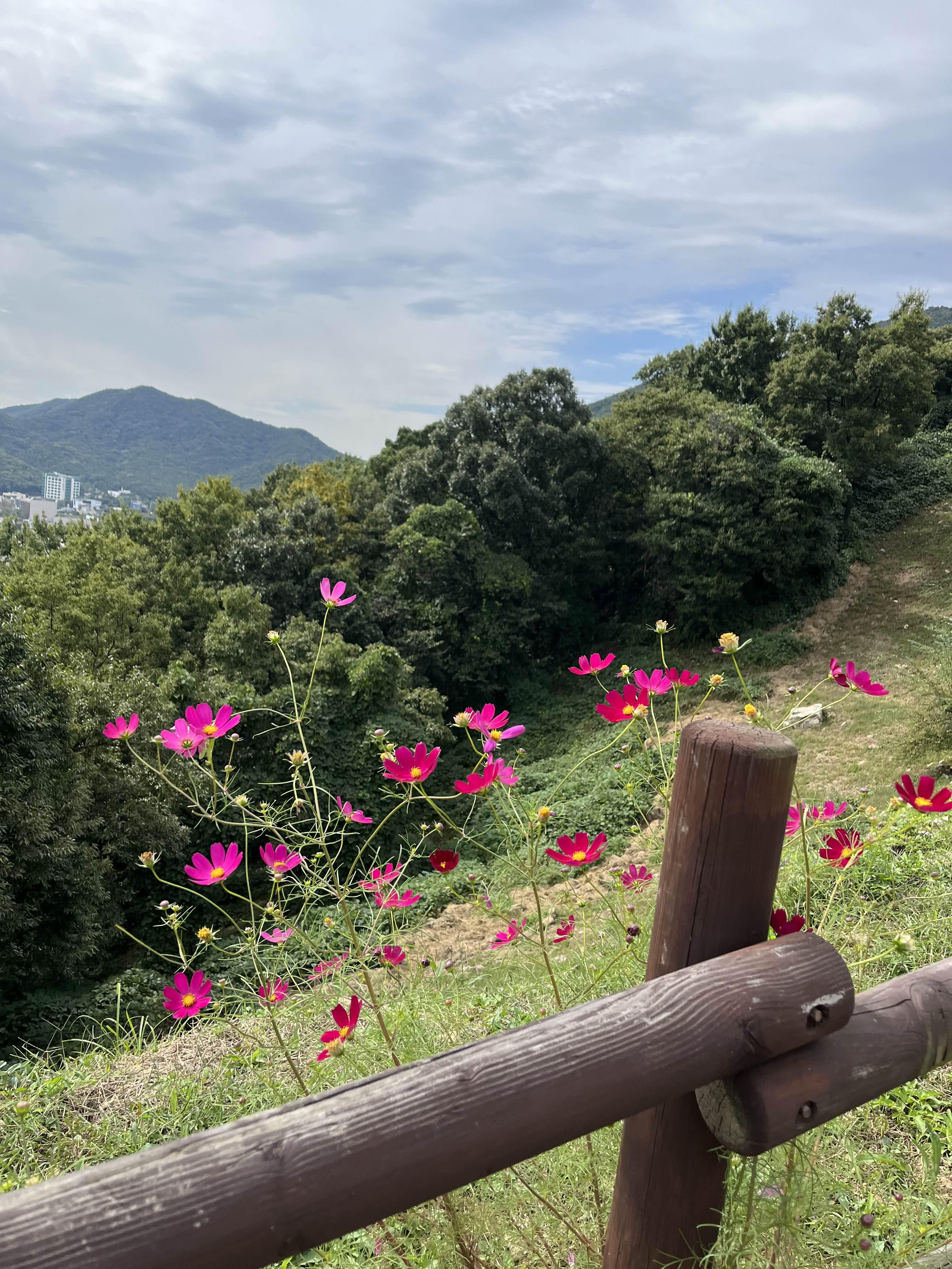 계양산 등산후기