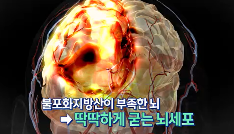 대마종자유 효능