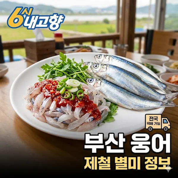 6시내고향 부산 웅어