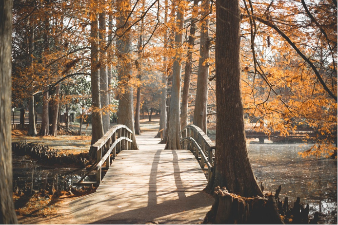 여름의 열기를 식혀줄 가을맞이 국내 힐링 여행지 7곳