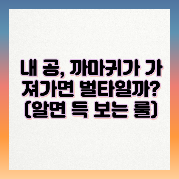 까마귀가_내공_가져가면_벌타일까?