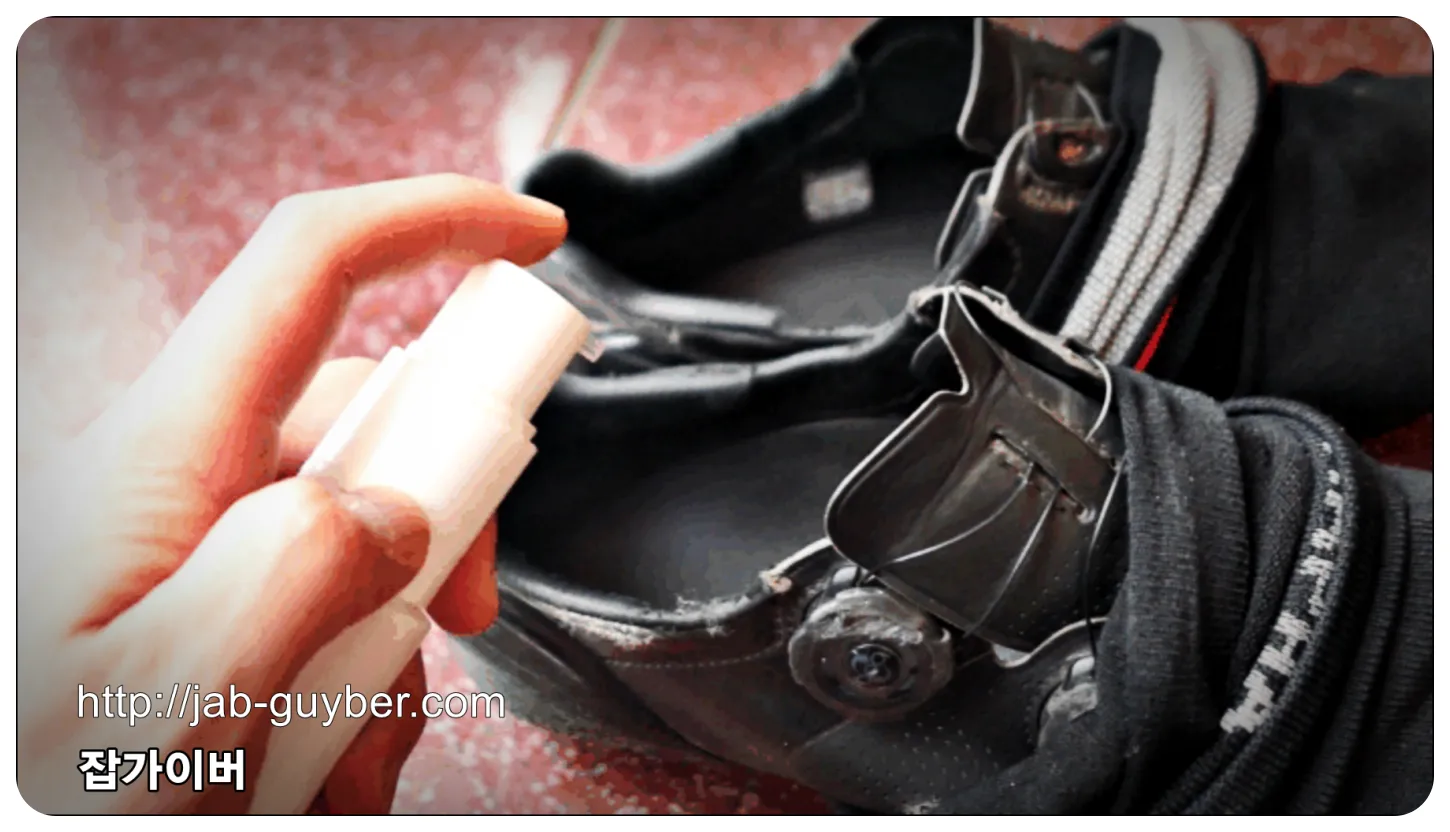 일상 운동화/구두에 슈브리즈 분사 후 내부 관리