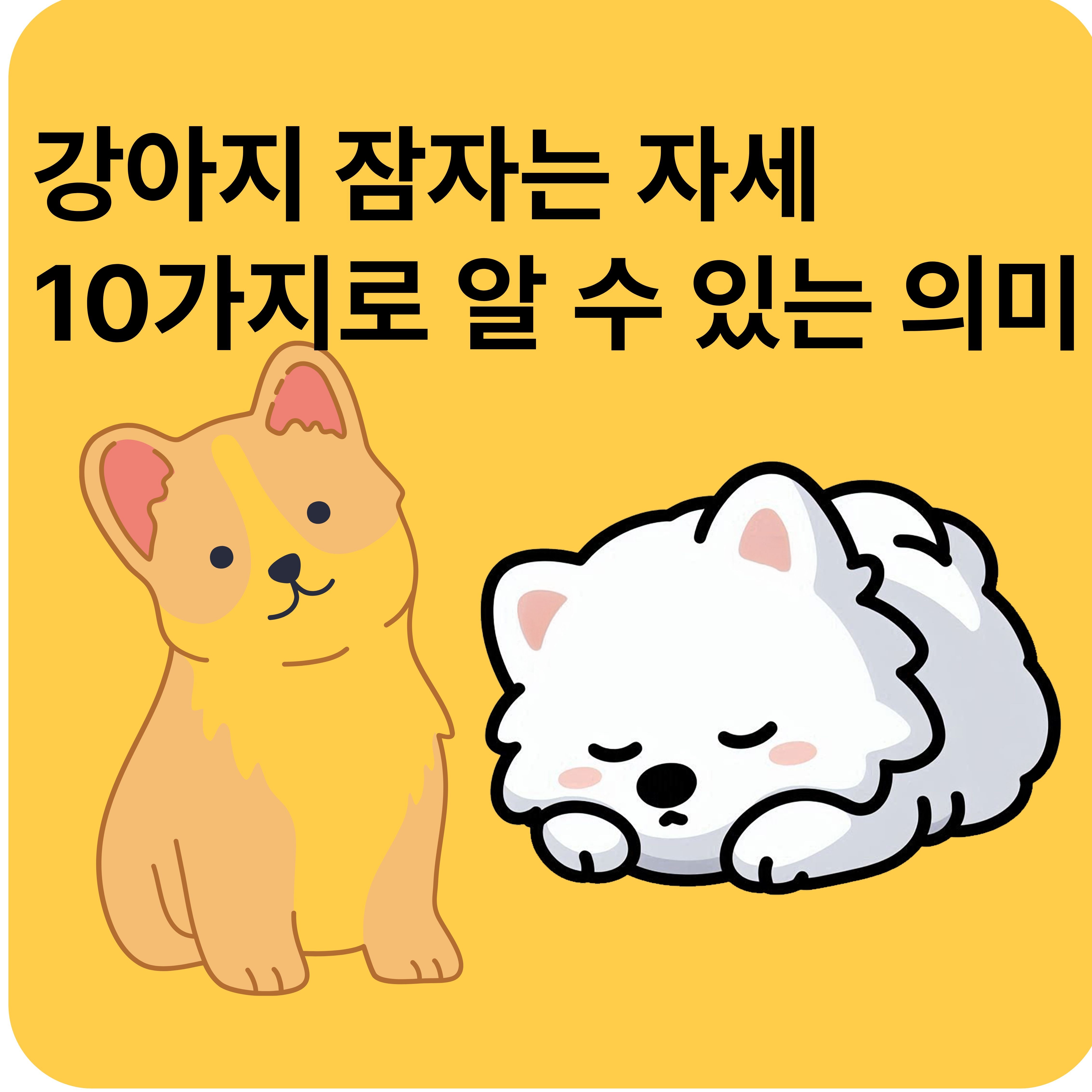 강아지 잠자는 자세 10가지로 알 수 있는 의미