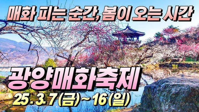광양매화축제